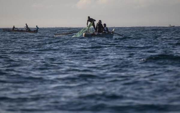 Gangs and crime make perilous work for a marine biologist in Haiti