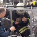 Ucraina, a Borodyanka salvato un gatto rimasto intrappolato in un edificio distrutto