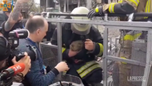 Ucraina, a Borodyanka salvato un gatto rimasto intrappolato in un edificio distrutto