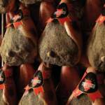 Il Prosciutto Toscano DOP alla conquista del Nord America