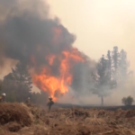 New Mexico, in fiamme oltre 1000 km² per un maxi-incendio