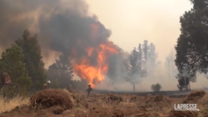 New Mexico, in fiamme oltre 1000 km² per un maxi-incendio