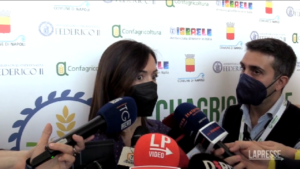 Forza Italia, Carfagna: “Lavorare per trovare equilibri interni migliori”