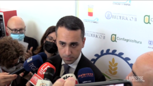 Ucraina, Di Maio: “Insicurezza alimentare crea instabilità in tutto il mondo”