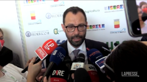 Governo, Patuanelli: “Scostamento bilancio non è un male”