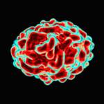 Vaiolo delle scimmie: casi, definizione e mortalità