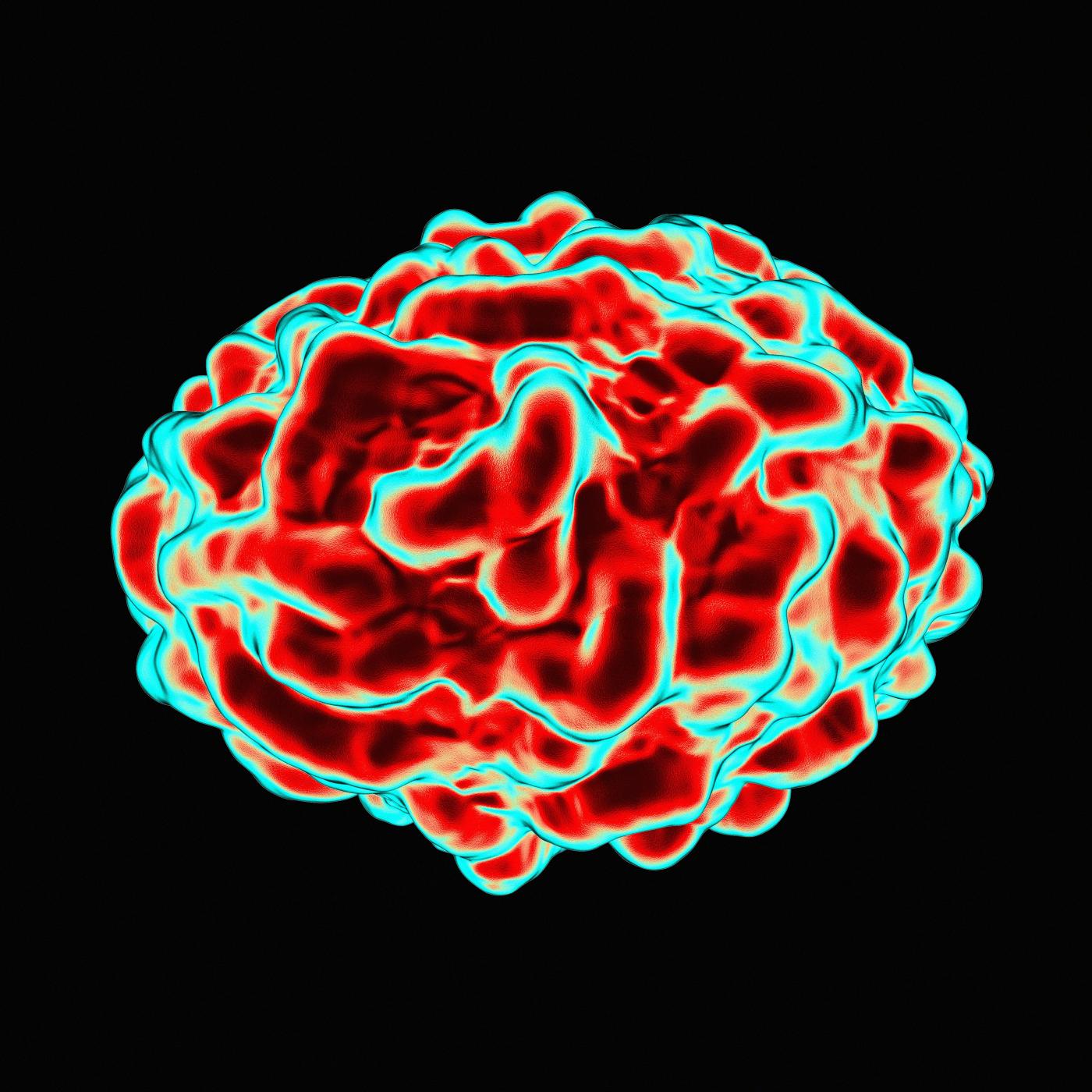 Vaiolo delle scimmie: casi, definizione e mortalità