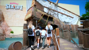 Gardaland SEA LIFE Aquarium, Plastic Free Onlus e il Comune di Castelnuovo del Garda insieme per l’Ambiente
