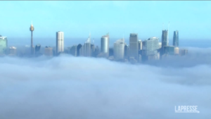 Australia, Sydney avvolta dalla nebbia regala uno spettacolo eccezionale