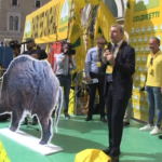 Cinghiali, Coldiretti: “Abbattiamoli”, Zingaretti: “Avviato confronto su indennizzi”