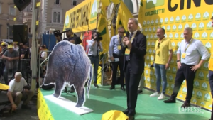 Cinghiali, Coldiretti: “Abbattiamoli”, Zingaretti: “Avviato confronto su indennizzi”