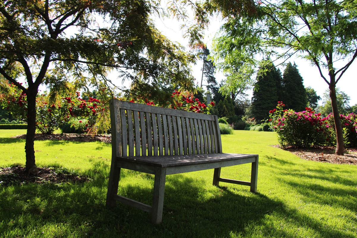 ‘Rendez-vous aux jardins’ alla sua quinta edizione: eventi in 20 Paesi europei