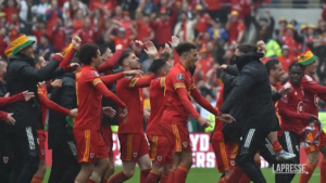 Wales makes it to World Cup, defeating Ukraine with an own-goal