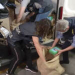 Colpo ai Narcos, Finanza di Trieste sequestra 4,3 tonnellate di cocaina