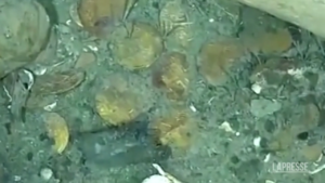 Colombia: scoperto in fondo al mare relitto di un galeone spagnolo con monete d’oro e cannoni