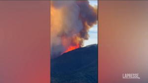 Spain: Mega-fire in Malaga; over 2,000 evacuated