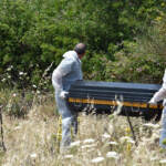 Catania, la madre ha confessato l’omicidio della piccola Elena. Gli inquirenti: “Forse gelosa della nuova compagna dell’ex convivente”