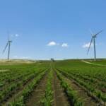 Edison inaugura il nuovo parco eolico di Mazara del Vallo