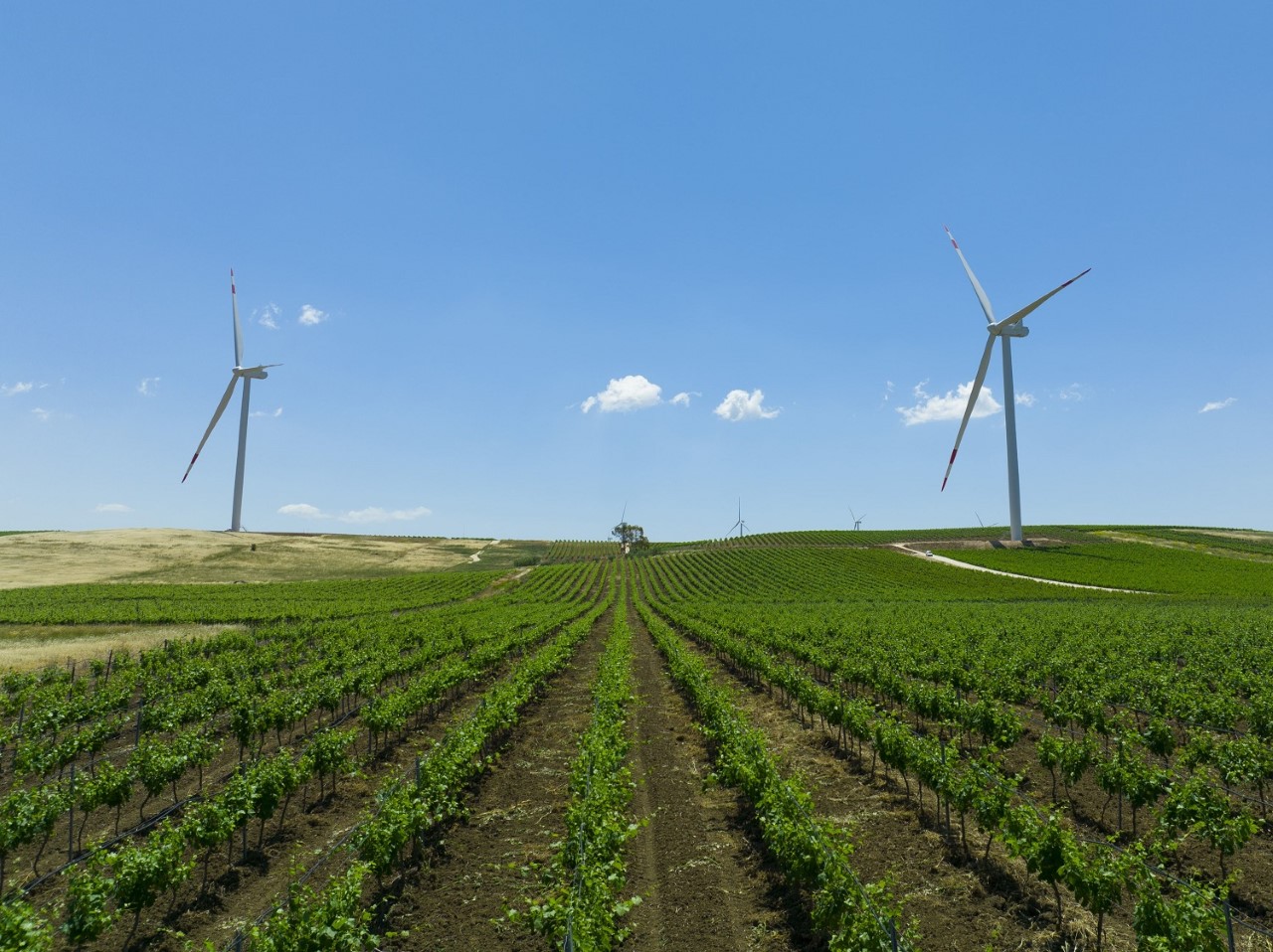 Edison inaugura il nuovo parco eolico di Mazara del Vallo