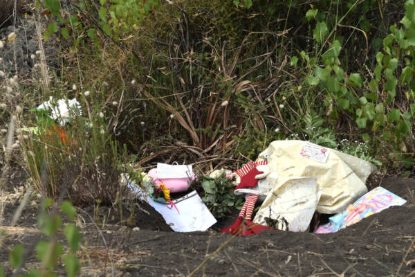 Catania: Martina Patti dal Gip: “Ho ucciso Elena da sola nel campo”
