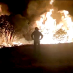 Incendi in Spagna, migliaia di ettari di terreno bruciati