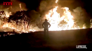 Incendi in Spagna, migliaia di ettari di terreno bruciati