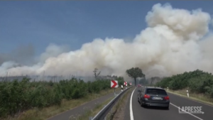 Incendi vicino a Berlino: oltre 200 ettari in fiamme