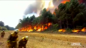 Spagna, migliaia di ettari di bosco divorati dagli incendi