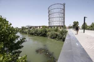 Roma - Allarme siccità, i livelli delle acque del Tevere molto bassi lasciano emergere alghe scogli e rifiuti