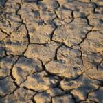 Siccità, allarme Coldiretti: “Pioggia dimezzata”