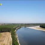 Siccità, l’autorità del Po: “Tempesta perfetta, il mare entra nel Delta, potabilizzatori a rischio”