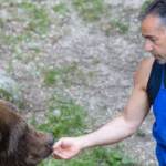 Trentino: ucciso con 18 colpi alla nuca, i carabinieri cercano arma delitto