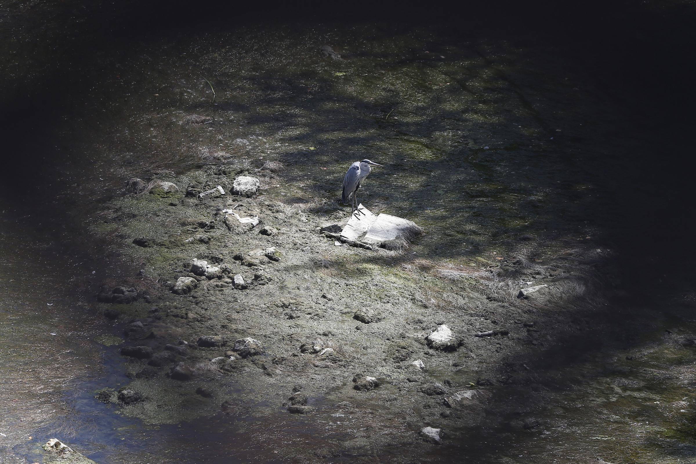 Siccità, Capalbio senz’acqua. Permesso solo l’uso per ‘scopi igienico-domestici’