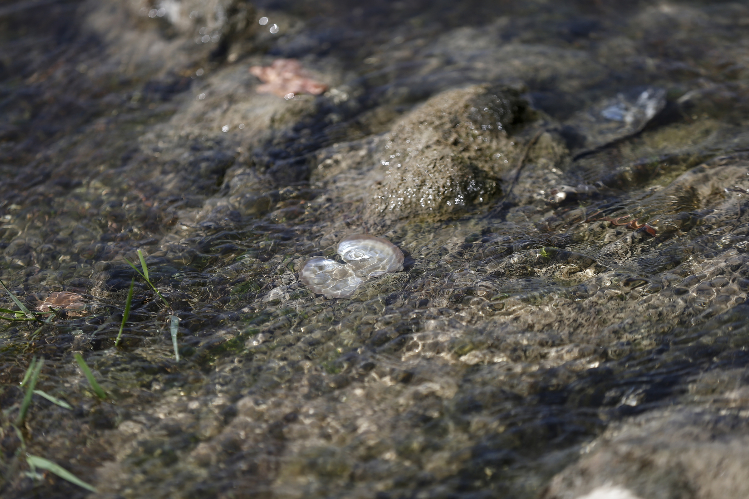 Siccità: ordinanza del Comune di Pordenone per limitare l’uso dell’acqua