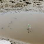 Siccità, Regione Marche prossima allo stato di emergenza