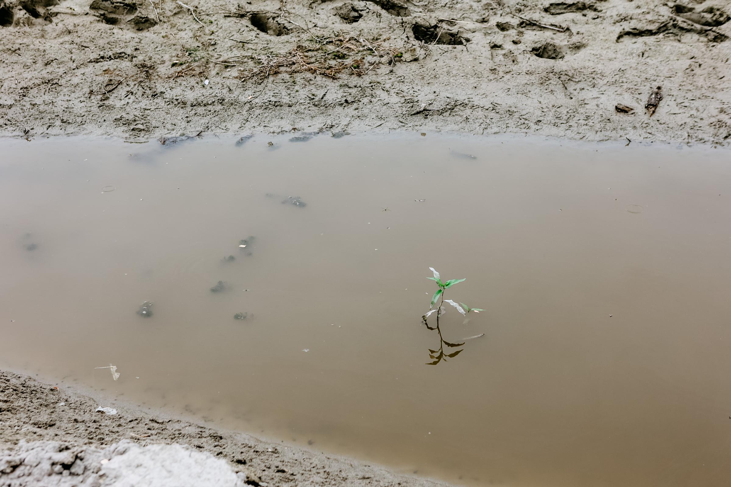 Siccità, Regione Marche prossima allo stato di emergenza