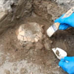 Pompei: scoperta tartaruga con il suo uovo risalente a 2mila anni fa
