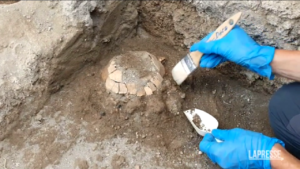 Pompei: scoperta tartaruga con il suo uovo risalente a 2mila anni fa