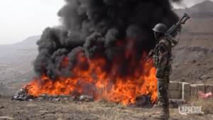 Yemen, bruciate tonnellate di droghe illecite