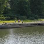 Siccità, Autorità Po: “Piogge di ieri utili negli equilibri idrologici”