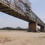 Siccità, viaggio tra gli affluenti del Po in secca: a rischio le risaie lungo il Sesia