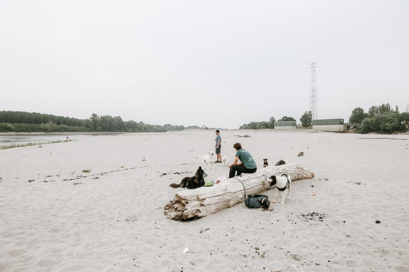 Siccità: in Italia 1 mld di metri cubi d’acqua persi, il decalogo Sima contro spreco
