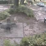 Usa, brucia bandiera panafricana con un lanciafiamme: il video choc