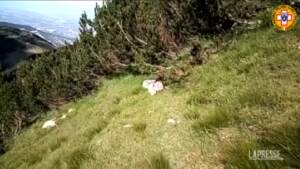 Abruzzo: escursionista muore per recuperare il cane caduto in un crepaccio