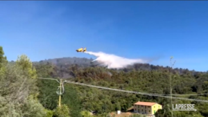 Elba Island, fire at Capo d’Arco tamed