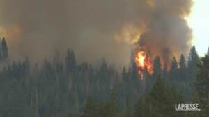 Usa, si allarga l’incendio allo Yosemite National Park