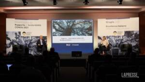 Economia circolare, da eccellenza italiana Conou 98% oli usati rigenerati