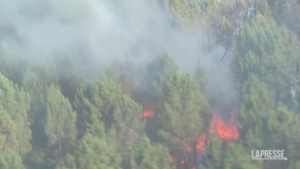 Francia, incendi vicino a Bordeaux: centinaia di Vigili del Fuoco al lavoro