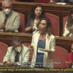 Dl Aiuti, Castellone: “Il non voto del M5S si sottrae alla logica della fiducia al governo”