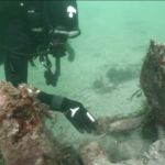 Archeologia: ritrovati i resti sommersi di una imbarcazione dell’epoca romana